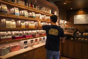 Claire LENEVEU - CLAIRE LENEVEU